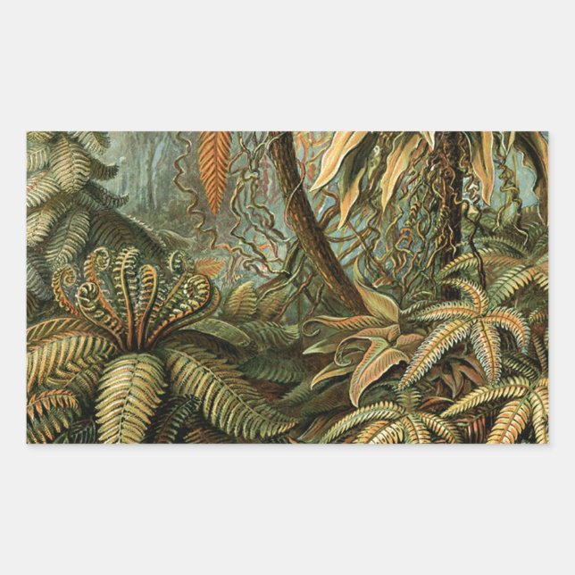 Ferns Palm Tree Antique Botanical Ferns Art Rectangular Sticker (Front)