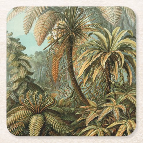 Ferns Palm Tree Antique Botanical Ferns Art Square Paper Coaster
