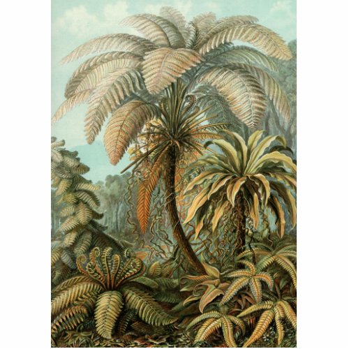 Ferns Palm Tree Antique Botanical Ferns Art Statuette