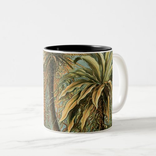 Ferns Palm Tree Antique Botanical Ferns Art Two_Tone Coffee Mug