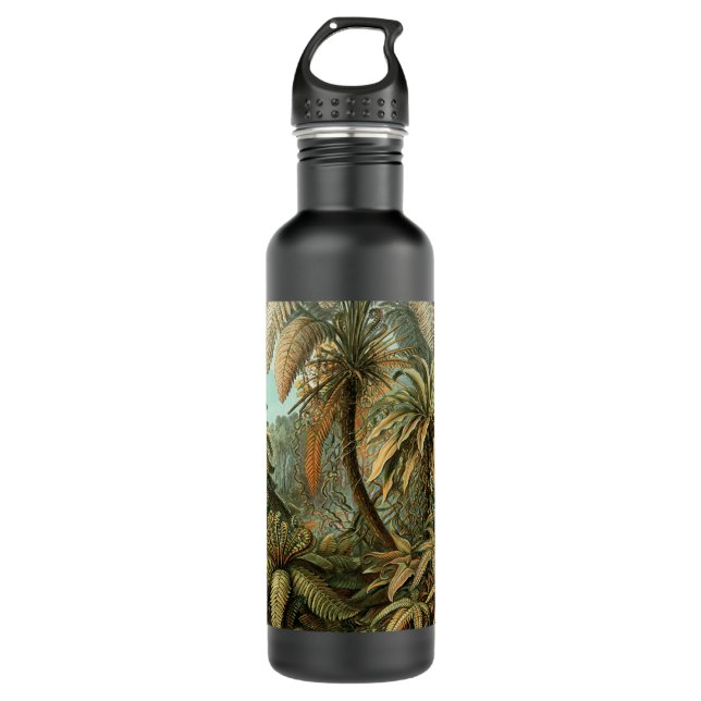 Ferns Palm Tree Antique Botanical Ferns Art Water Bottle (Front)