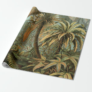 Ferns Palm Tree Antique Botanical Ferns Art Wrapping Paper