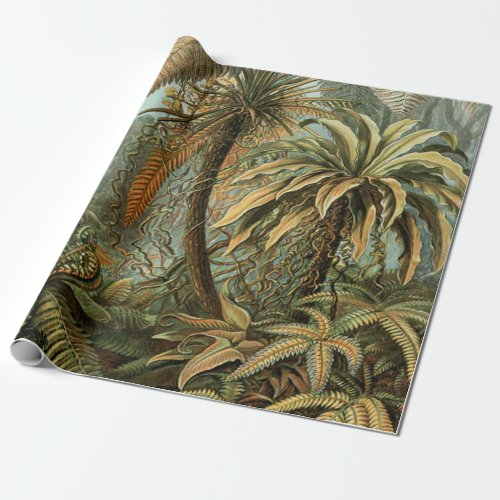 Ferns Palm Tree Antique Botanical Ferns Art Wrapping Paper