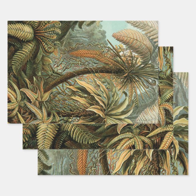 Ferns Palm Tree Antique Botanical Ferns Art Wrapping Paper Sheets (Set)