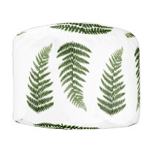 Ferns