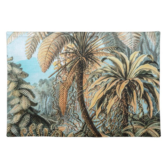 Ferns Vintage Plants by Ernst Haeckel Cloth Placemat (Front)