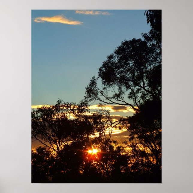 ferntree gully sun twinkle Poster (Front)