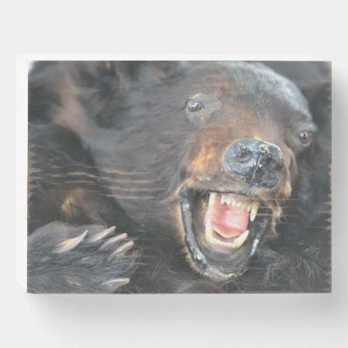 Ferocious Black Bear Wooden Box Sign