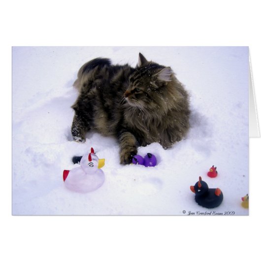 Ferocious Snow Cat Cards (Front Horizontal)