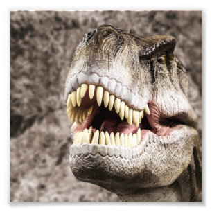Ferocious T-Rex Head Photo Print