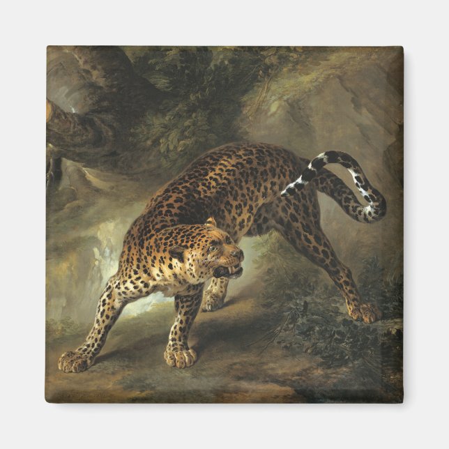 Ferocious Wild Leopard (by Jean-Baptiste Oudry) Magnet (Front)