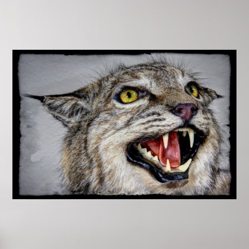 FEROCIOUS WILDCAT POSTER