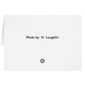 ferret (Back Horizontal)