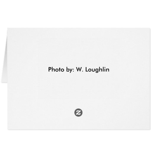 ferret (Back Horizontal)