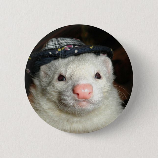 ferret and the hat button (Front)