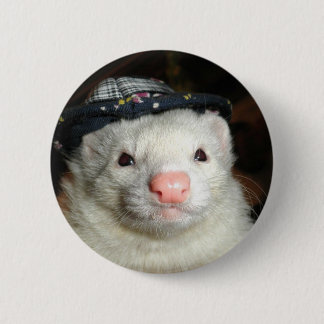 ferret and the hat button