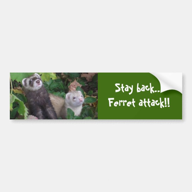Ferret attack bumper sticker (Front)