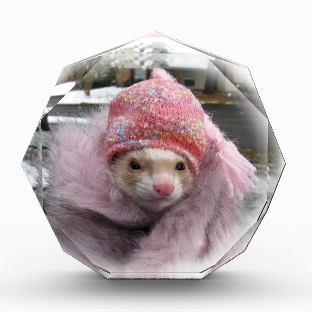 Ferret award, benefits rescue ferrets award (Front)