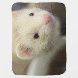 Ferret Baby Blanket