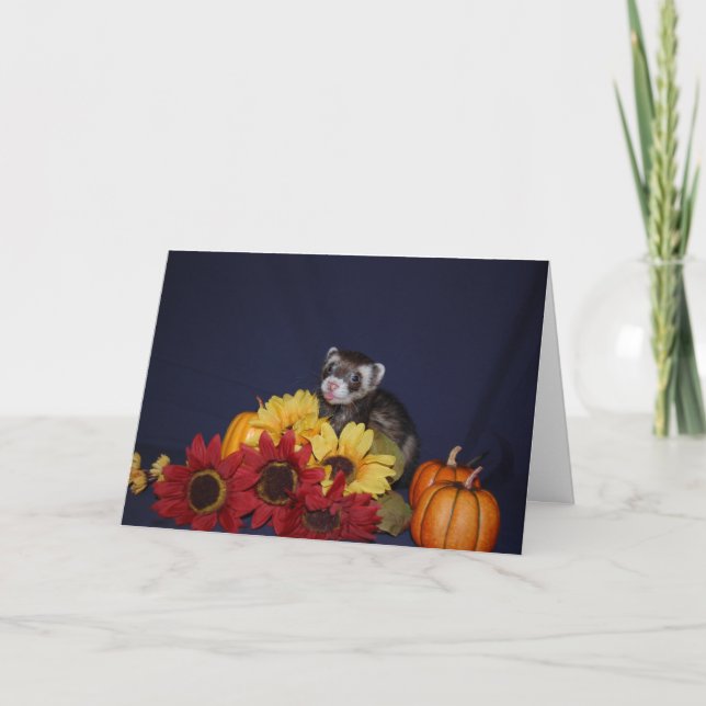 Ferret Birthday Card (Front)