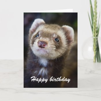 Ferret Birthday Card by hildurbjorg at Zazzle