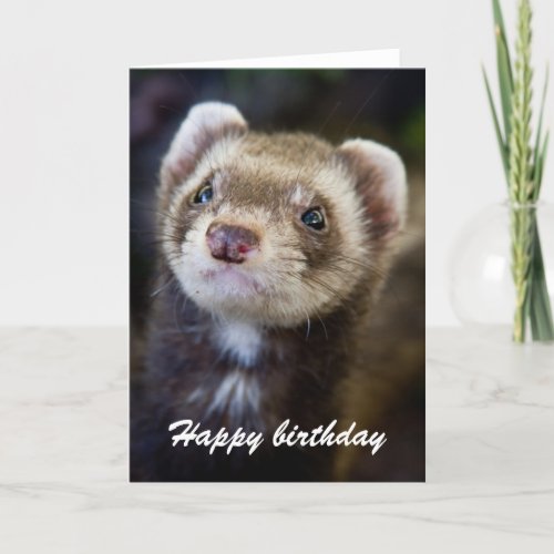 Ferret birthday card