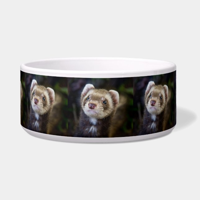 Ferret Bowl (Front)