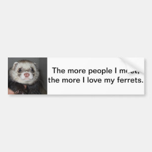 Ferret Bumper Sticker