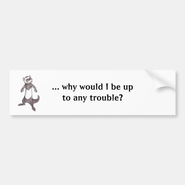 Ferret Bumper Sticker (Front)