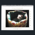Ferret Calendar 1st Edition<br><div class="desc">The first edition A beautiful Ferrets Calendar featuring Nahum,  Lil Bear and Anika in their sweet moment of ferret life.   This calendar is a great way to have 12 images of my Fine Art Ferrets photography.  Each months are available separately in posters and others products.</div>