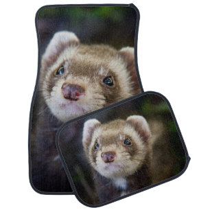 Ferret Car Floor Mat