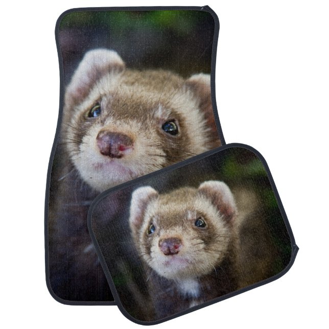 Ferret Car Floor Mat (Set)