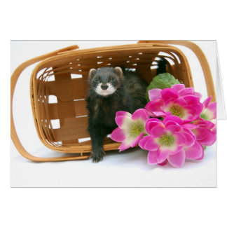 Ferret Card