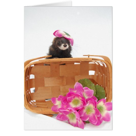 Ferret Card (Front)