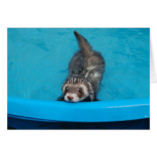 Ferret Card