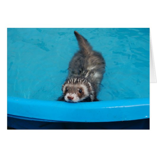 Ferret Card (Front Horizontal)