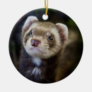 Ferret Ceramic Ornament