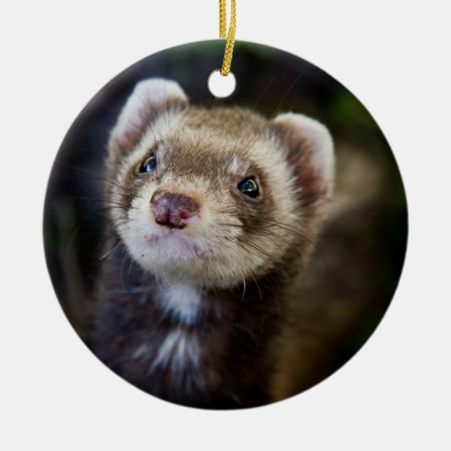 Ferret Ceramic Ornament (Front)