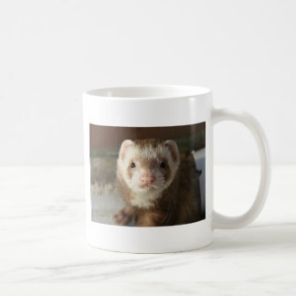 Ferret close-up mug