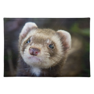 Ferret Cloth Placemat