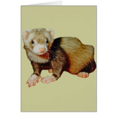 Ferret Drawing (Front)