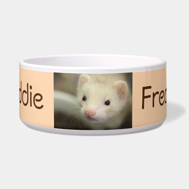 Ferret face bowl (Front)