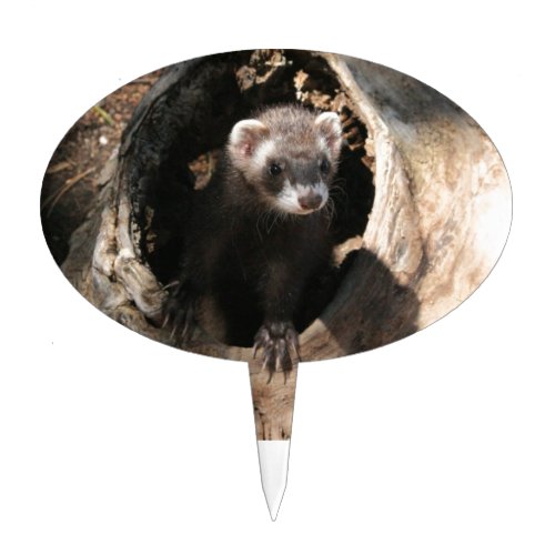 Ferret Face Cake Topper