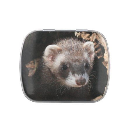 Ferret Face Jelly Belly Tin