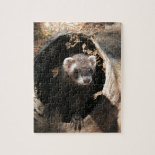 Ferret Face Jigsaw Puzzle