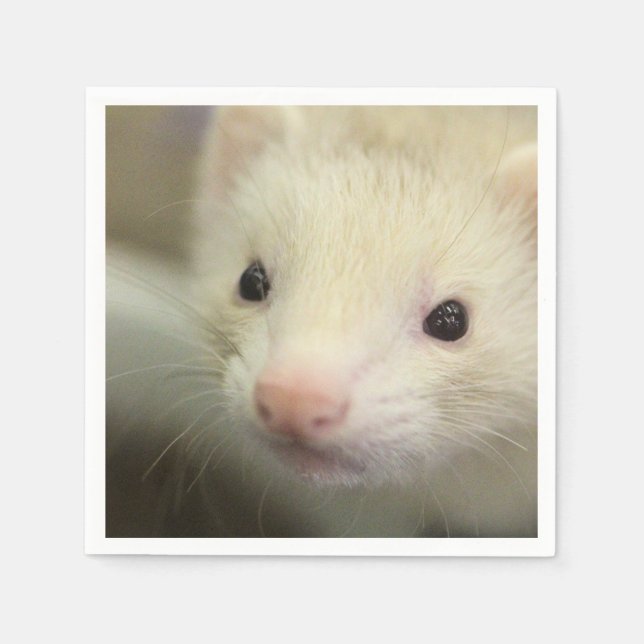 Ferret face  napkins (Front)