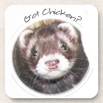 Ferret Face Picture Got Chicken? Coaster by Visages at Zazzle