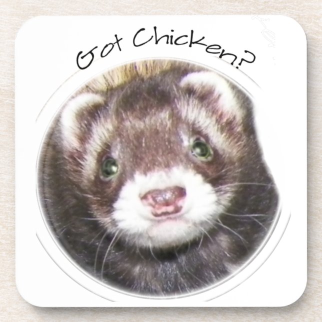 Ferret Face Picture Got Chicken? Coaster (Front)
