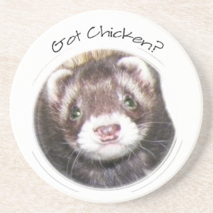 Ferret Face Picture Got Chicken? Drink Coaster