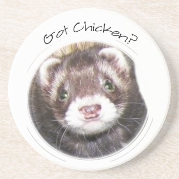 Ferret Face Picture Got Chicken? Drink Coaster by Visages at Zazzle